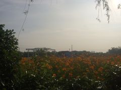 -广州花之恋城堡酒店
