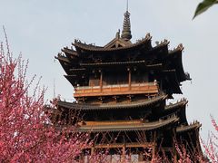 -杭州半山国家森林公园