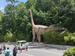-栾川竹海野生动物园