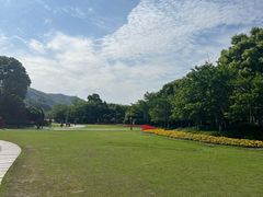 -径山花海