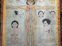 -青海藏文化博物院
