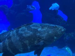 -成都浩海立方海洋公园