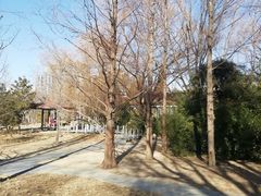 -元大都城垣遗址公园