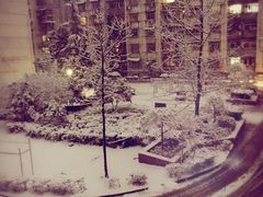 -邢记板栗(铜陵二店)