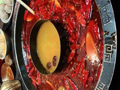 -渝大狮毛肚老火锅(普陀店)