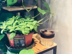 椰子冰滴-ZING COFFEE 镜咖啡