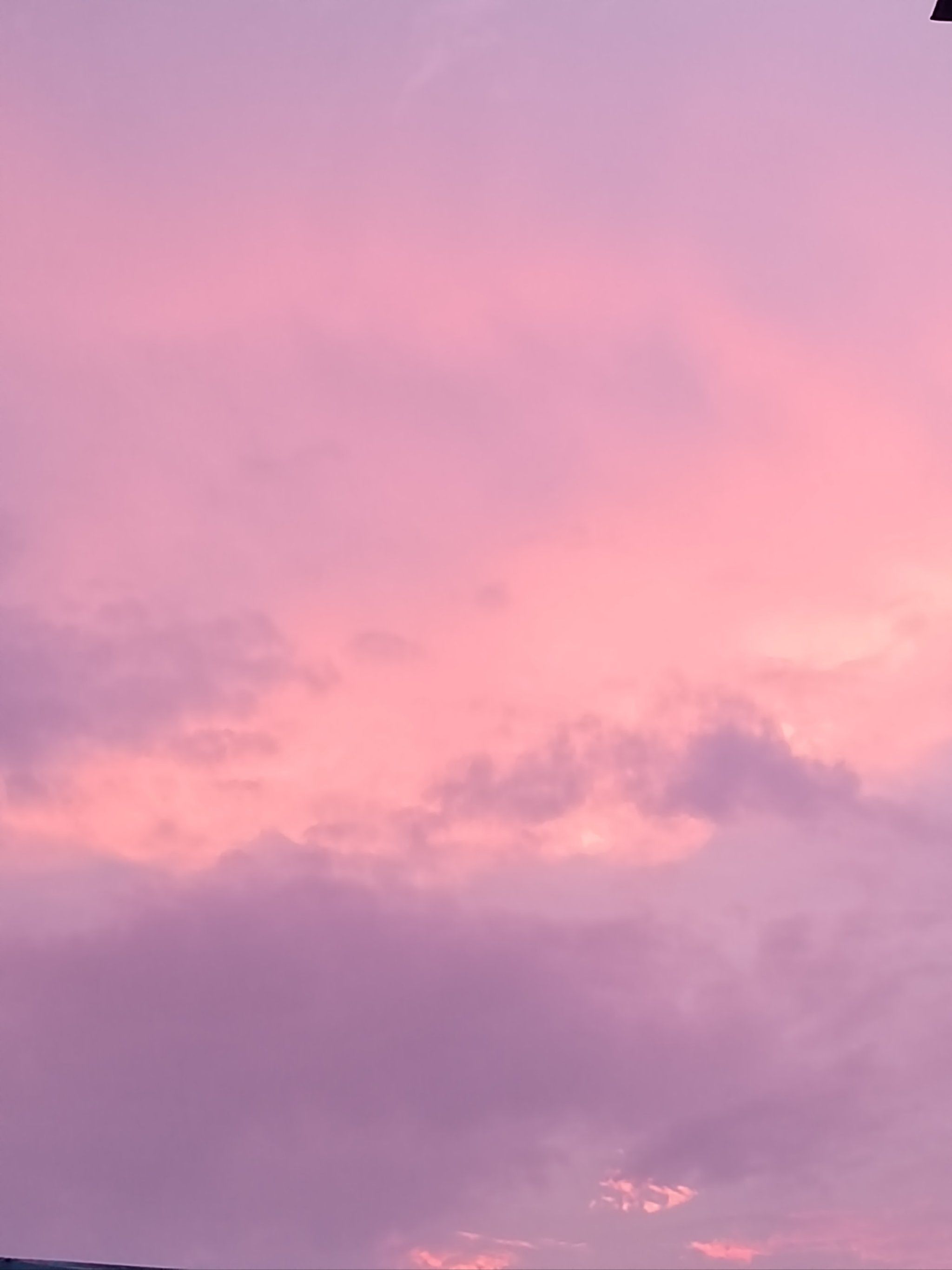 天天领红包 粉红色的天空,这也太漂亮了