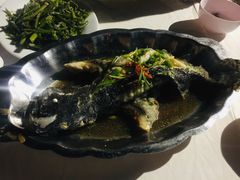 -越海渔村