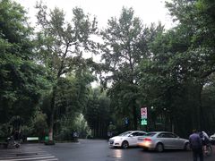 -山外山菜馆(玉泉路店)