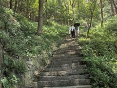 -严子陵钓台(富春江小三峡)