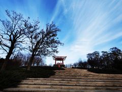 -大望京公园