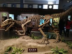 -自贡恐龙博物馆