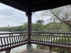 -江心屿景区