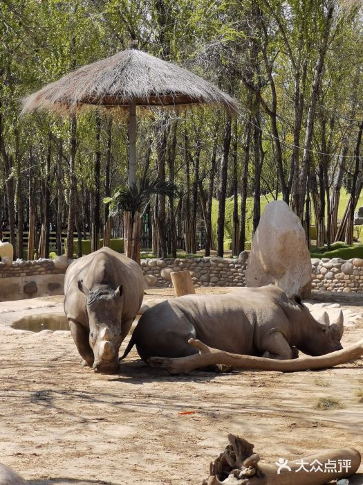 北京野生动物园图片