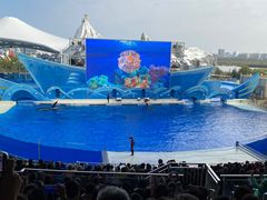 -上海海昌海洋公园