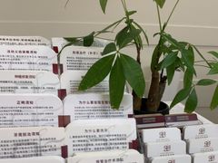 -雅悦齿科(顾村公园店)