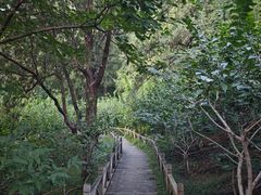 -香山公园