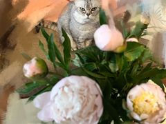 -双季花艺园艺市场(浦东店)