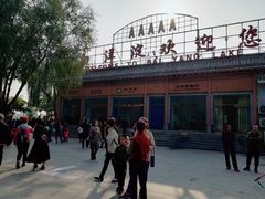 -白洋淀景区