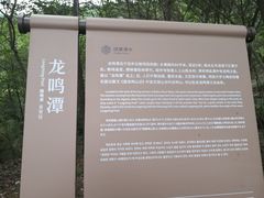 -南京市无想山景区