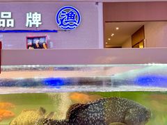 -驻海渔市(置信店)