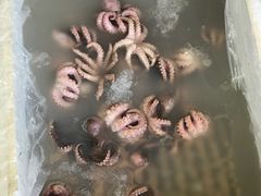 -江杨农产品批发市场