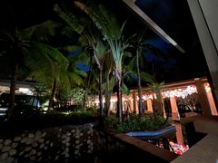 -海南清水湾莱佛士酒店