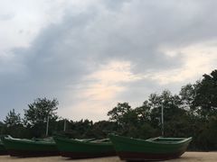 -海滨浴场