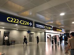-上海浦东国际机场-T2航站楼