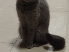 -重庆丽苑维景国际大酒店·海鲜自助餐厅