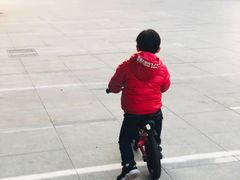 -稚马儿童平衡车自行车俱乐部
