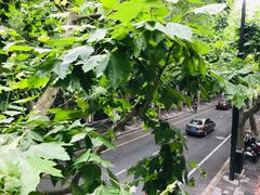 景观位-Ginger(兴国路店)