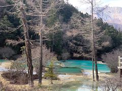 -黄龙山原始森林景区