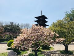 -北京世界公园
