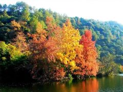 -梅州天地人花园酒店(梅县人民广场店)