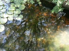 -范蠡湖公园