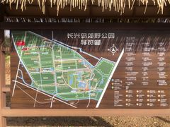 -上海长兴岛郊野公园