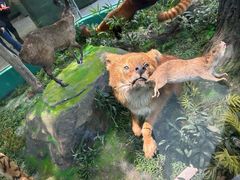 -国家自然博物馆