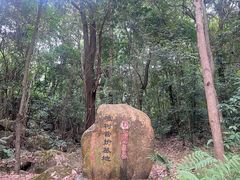 -东莞市大岭山森林公园