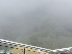 -南山植物园