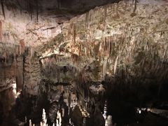 -波斯托伊纳溶洞