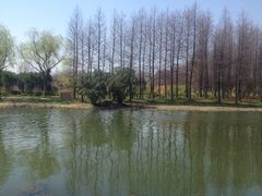 iphone_upload_pic-新江湾城公园