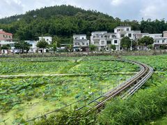-红山村