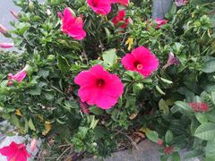 -新梦百货(民族店)