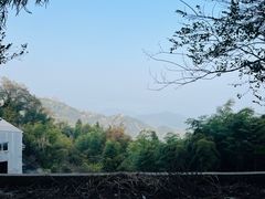 -莫干山风景区
