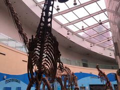 -陕西自然博物馆