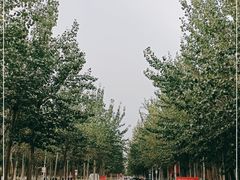 -天津现代职业技术学院