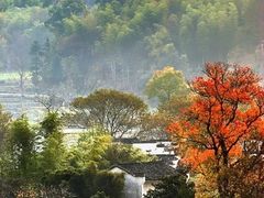 -塔川景区