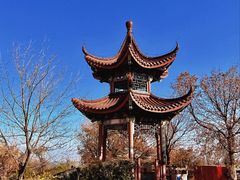 -北宫国家森林公园