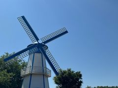 -梁阿婆廿年老牌扣肉糯米饭